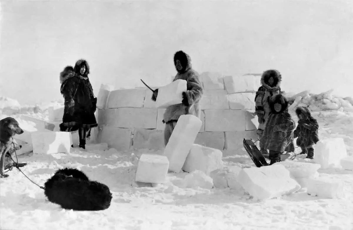 constructing an igloo Arctic